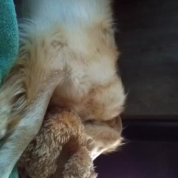 I think he's in love