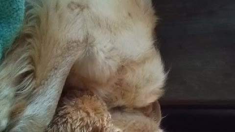 I think he's in love