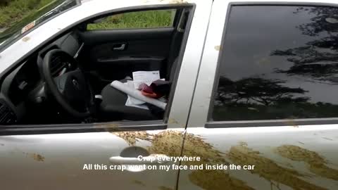 Crap Situation