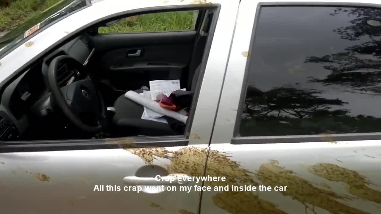 Crap Situation