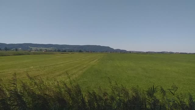 09.08.2022 Dürre im Oberland? Realität und Märchen