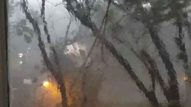 Storm Causes Tree to Fall and Break Window