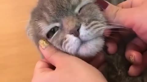 Massage time 😻