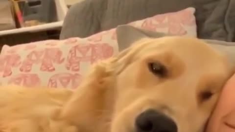Dog fun 🤣🤣