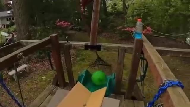 Longest Shot Ever