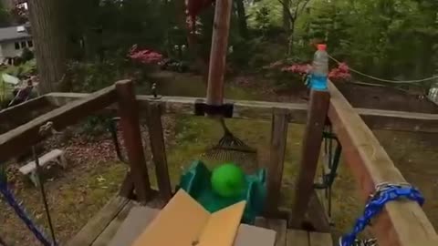 Longest Shot Ever