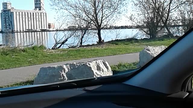 Happy Birthday Su #1