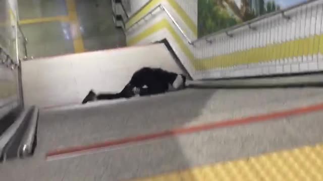 Guy is walking down stairs and falls
