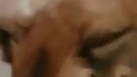 La La Dog says that it's time to play 🐶