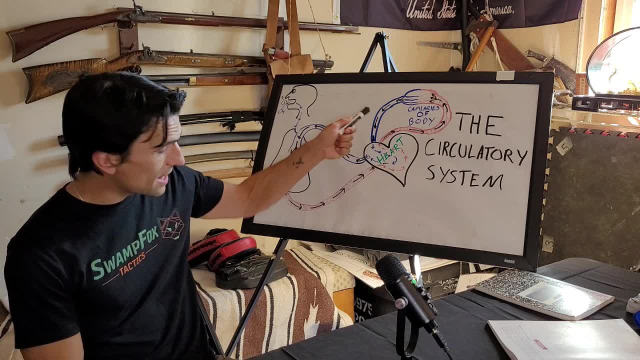 The Circulatory System: A rapid overview