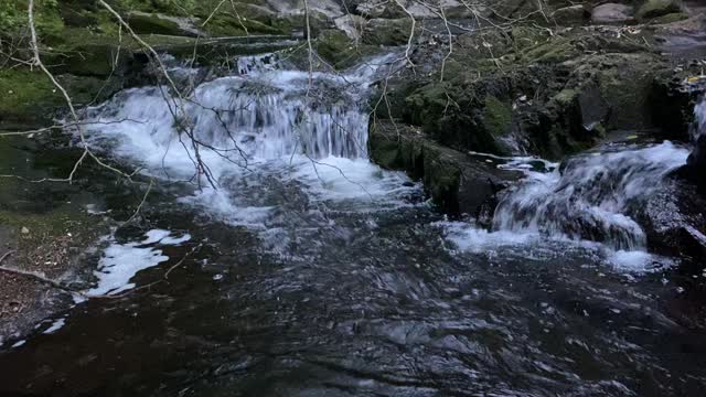 Relaxing Zen Music with Water Sounds • Peaceful Ambience for Spa, Yoga and Relaxation