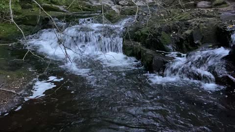 Relaxing Zen Music with Water Sounds • Peaceful Ambience for Spa, Yoga and Relaxation