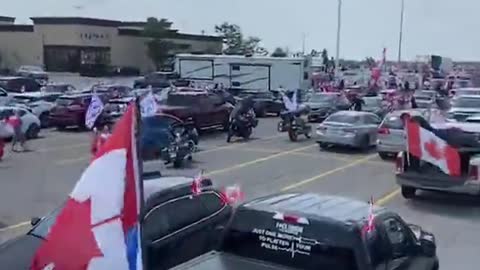 Canadians in the support of Dutch farmers