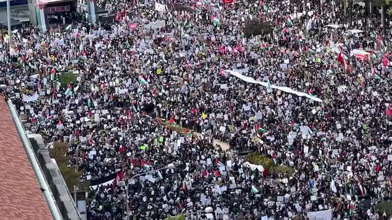 Pro-Palestinian rally in DC today