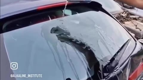 Redbull vs car glass