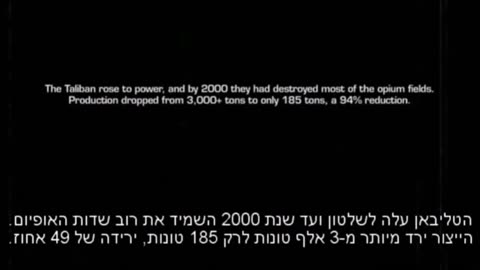 WWW הטרוריסטים האמיתיים