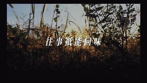 《往事只能回味》MV-(1080p) Miles Guo Music