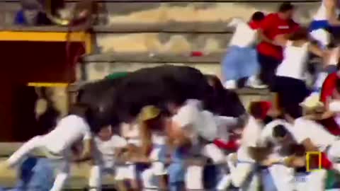 Bull fighting in Spain