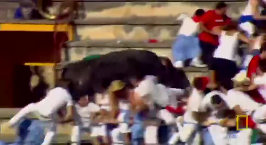 Bull fighting in Spain