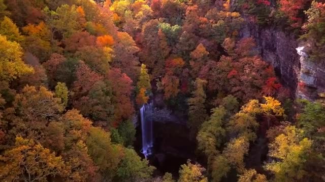Beautiful Relaxing Music for Stress Relief - Sleep Music, Study Music, stress relief.