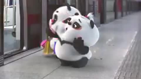 Funny 😝videos 2022 panda😋