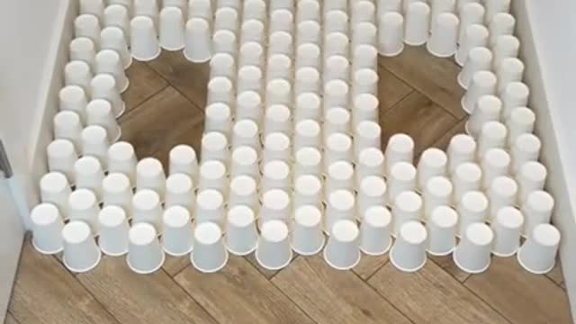 Top funny cat video
