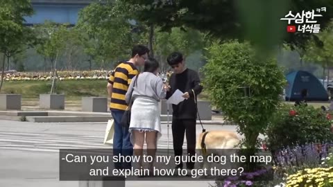 Best Korean funny pranks (funny videos)🤟