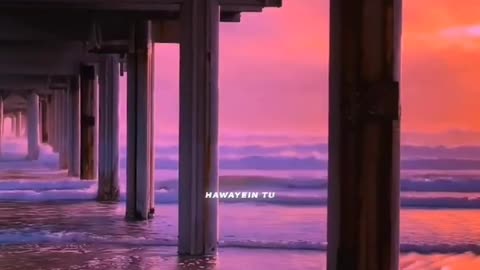 Shorts Video for All