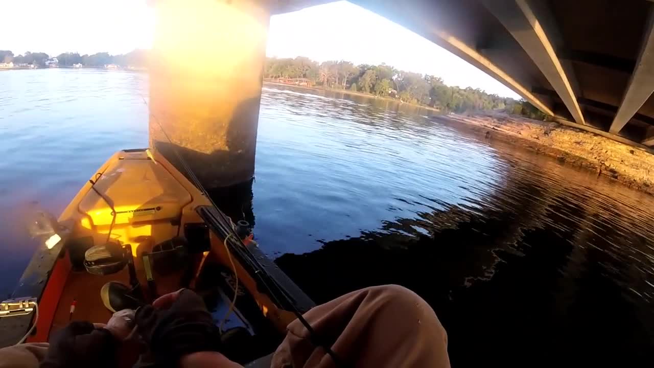 Commercial bait can also be used to prepare bait