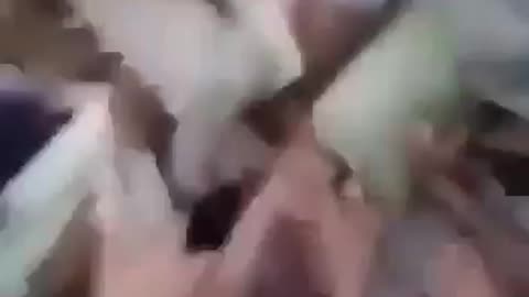 Welcome To Pakistan Social Media Girl
