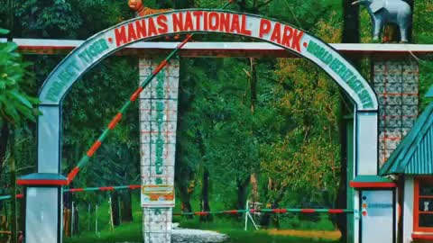 Manas national park