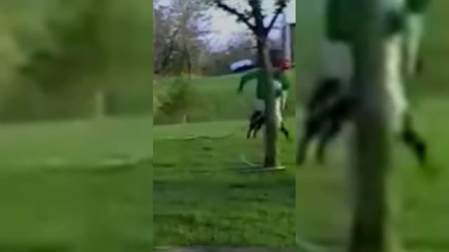 This dog is so funny