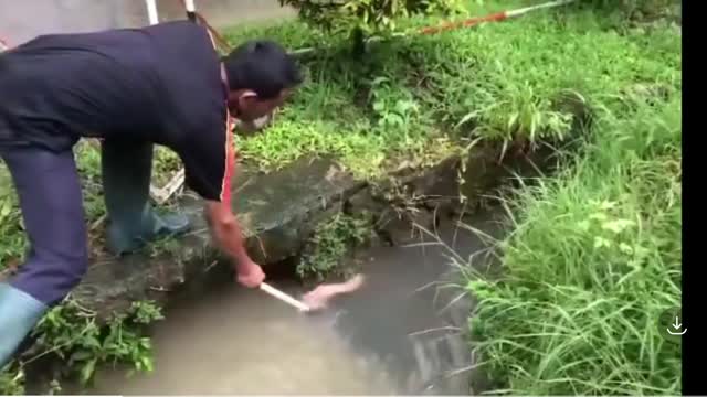 failed to catch fish