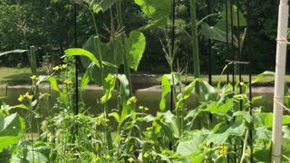 Welcome to Sunbend Farms
