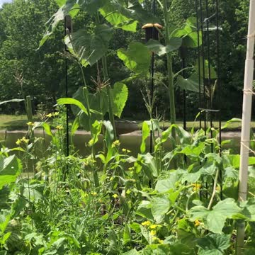 Welcome to Sunbend Farms