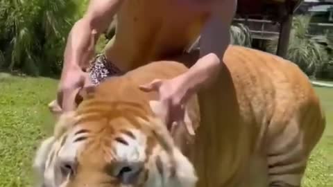 Best Funny Animal Videos of the year (2021)
