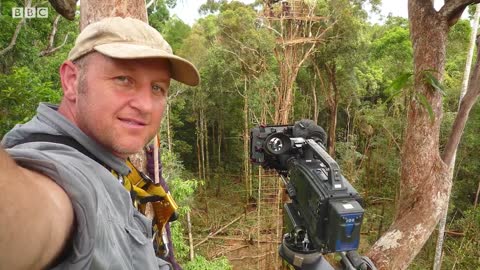 Fatal Encounter with Baboon and Gazelle | Bad Natured | BBC Earth