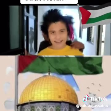 Cricket world cup match a fan see what happened