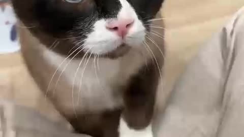 Little love goes a long way
