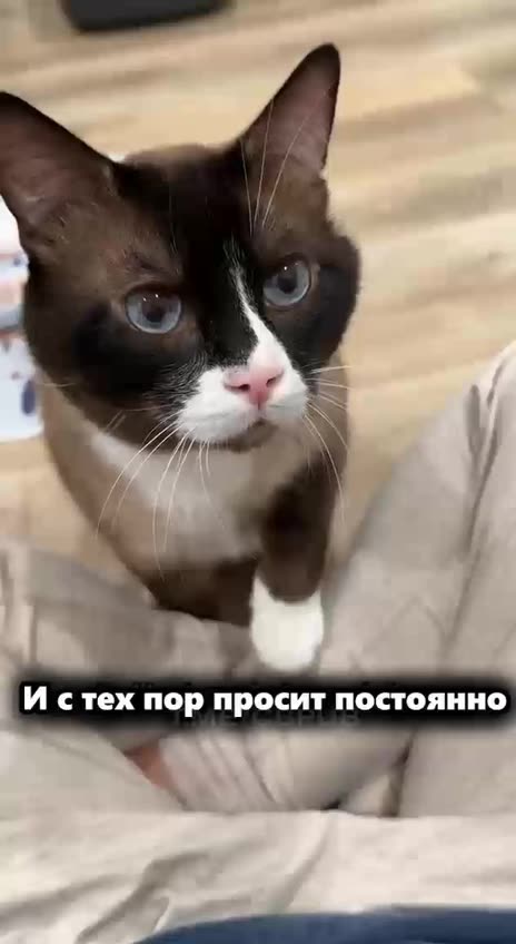 Little love goes a long way