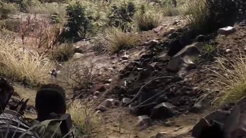 Tom Clancy Ghost Recon Wildlands Shorts