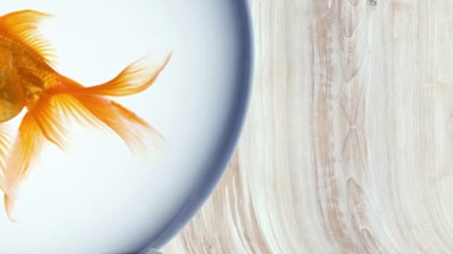 7 Datos Curiosos del Mundo #1