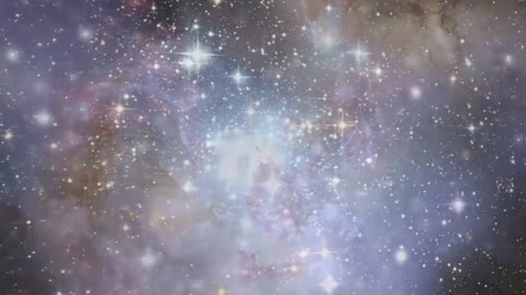 Beetle juice What Number Comes Between 2 And 4