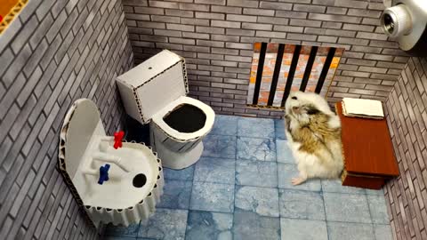 Hamster escapes the awesome maze for Pets in real life ?? in Hamster stories Part 2