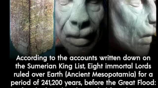 News with a Twist Genome