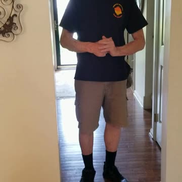 Sophie in the down stay at the top of the stairs.