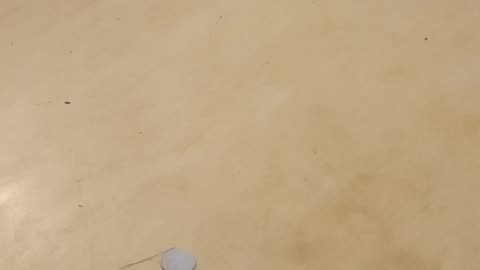 Make that perfect ritual circle
