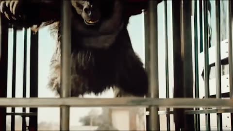 Charlie Gorrila Scene on Road __ Bollywood Comedy Scene _ OMG Clips.mp4