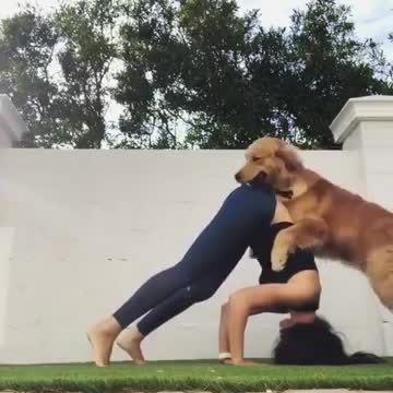 When it’s not a Yoga time for your