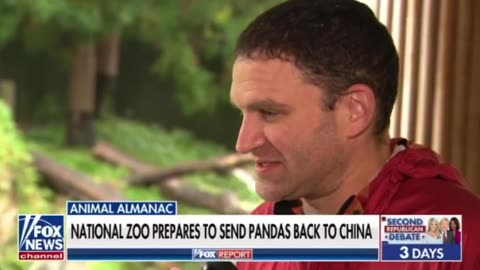 Why after all this time does China want their pandas back?
